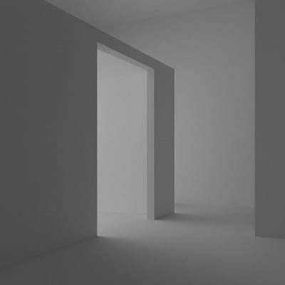 Original image before applying Duotone effect