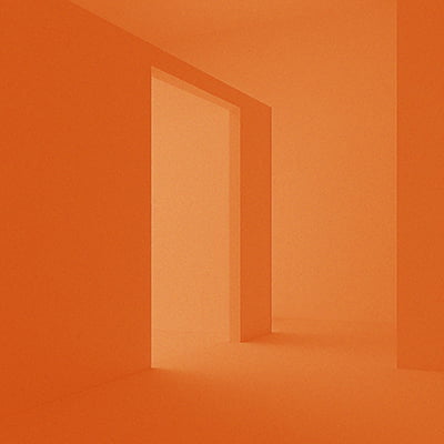 Image with Duotone effect applied