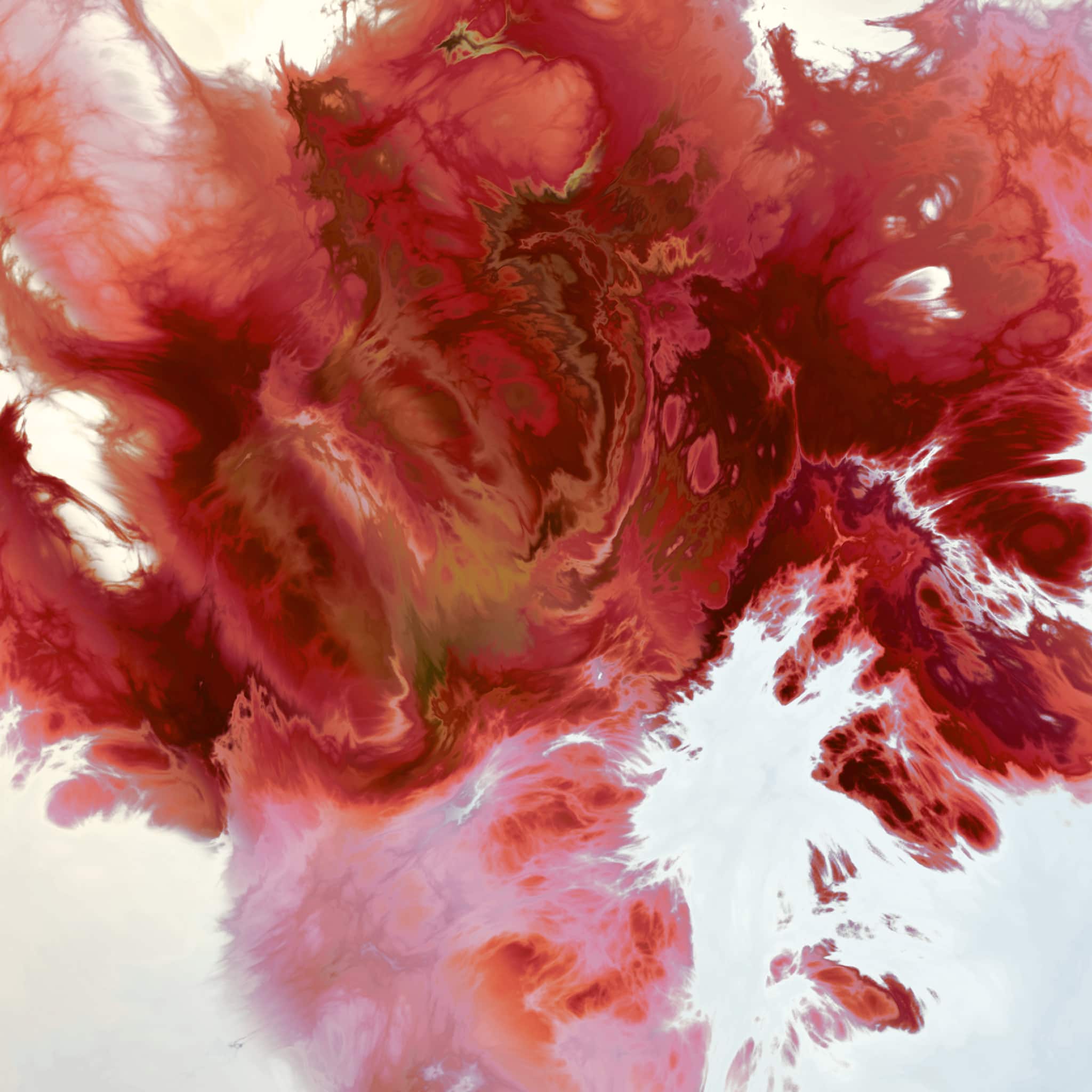 Image with Texture Displacement effect applied