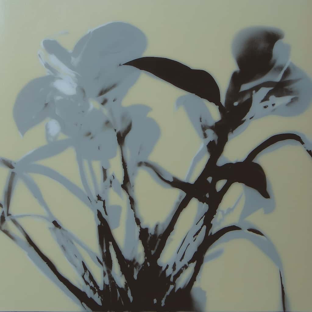Original image before applying Emboss effect