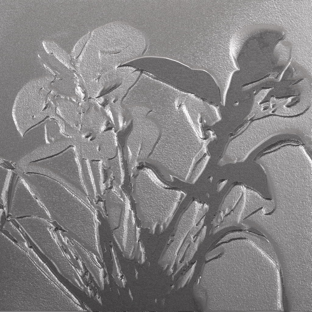Image with Emboss effect applied