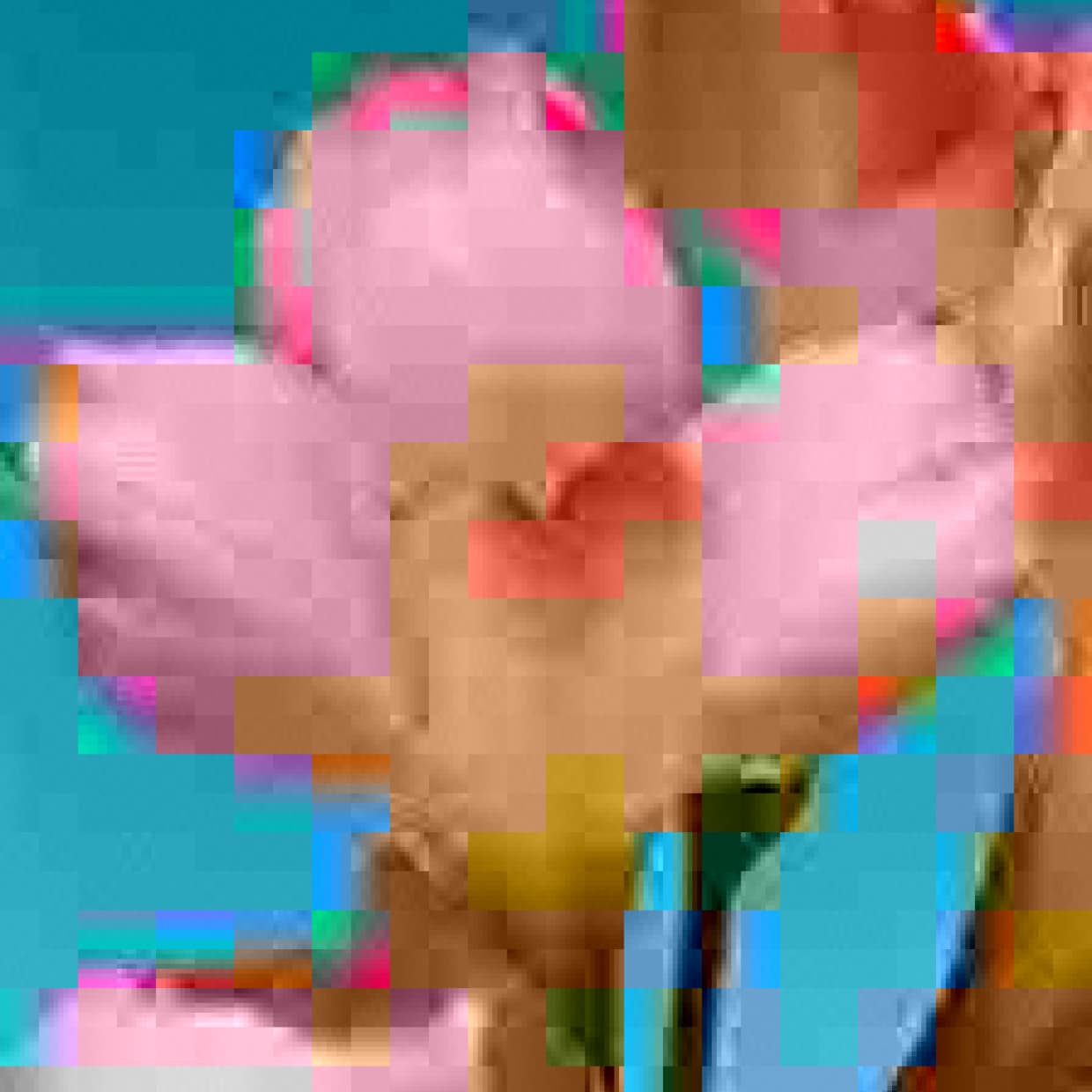 Image with JPEG Glitch effect applied