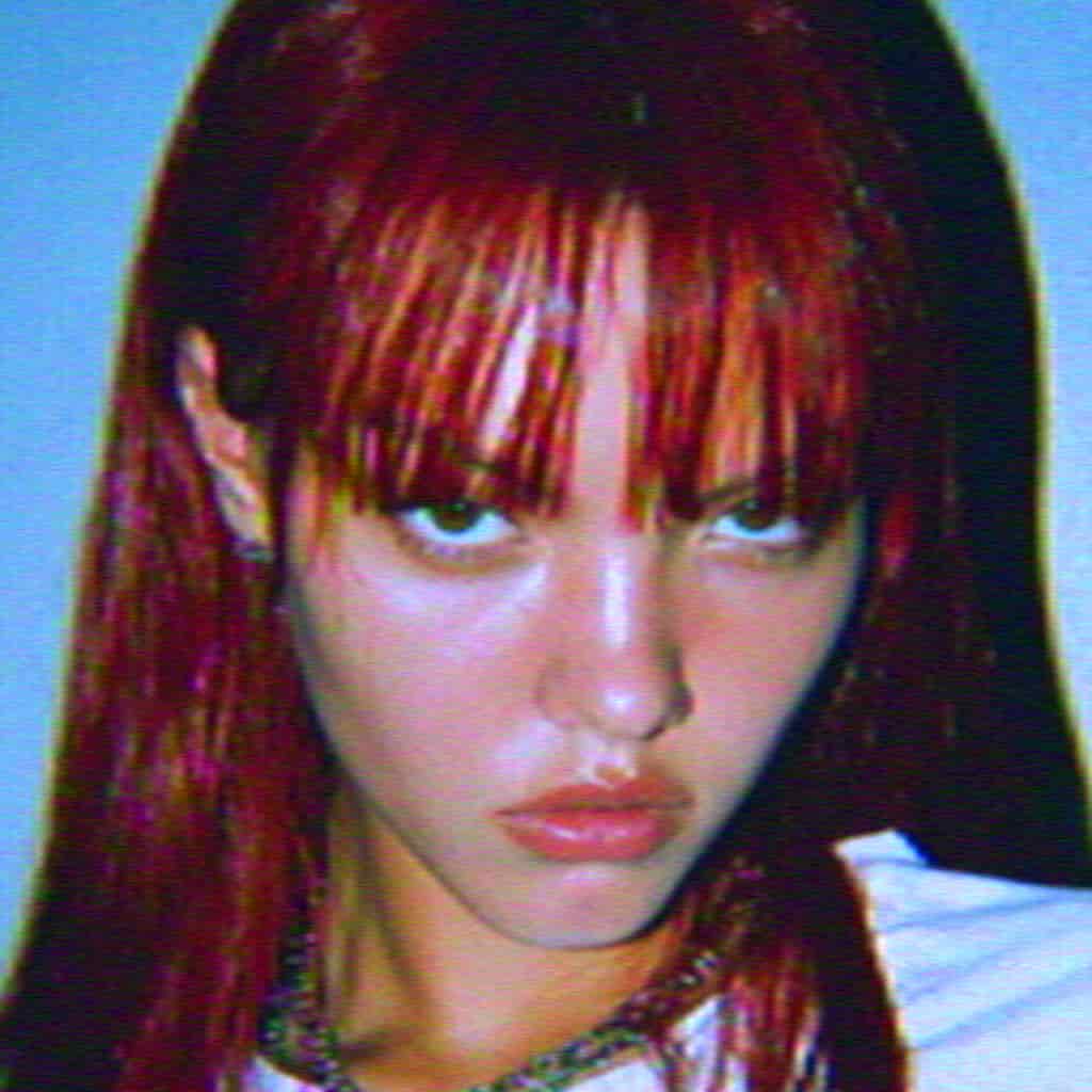 Image with NTSC effect applied
