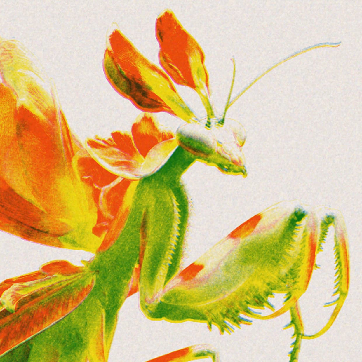 Image with Risograph effect applied