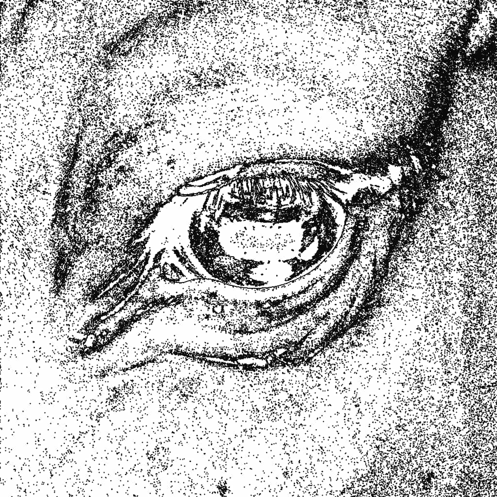 Image with Threshold effect applied