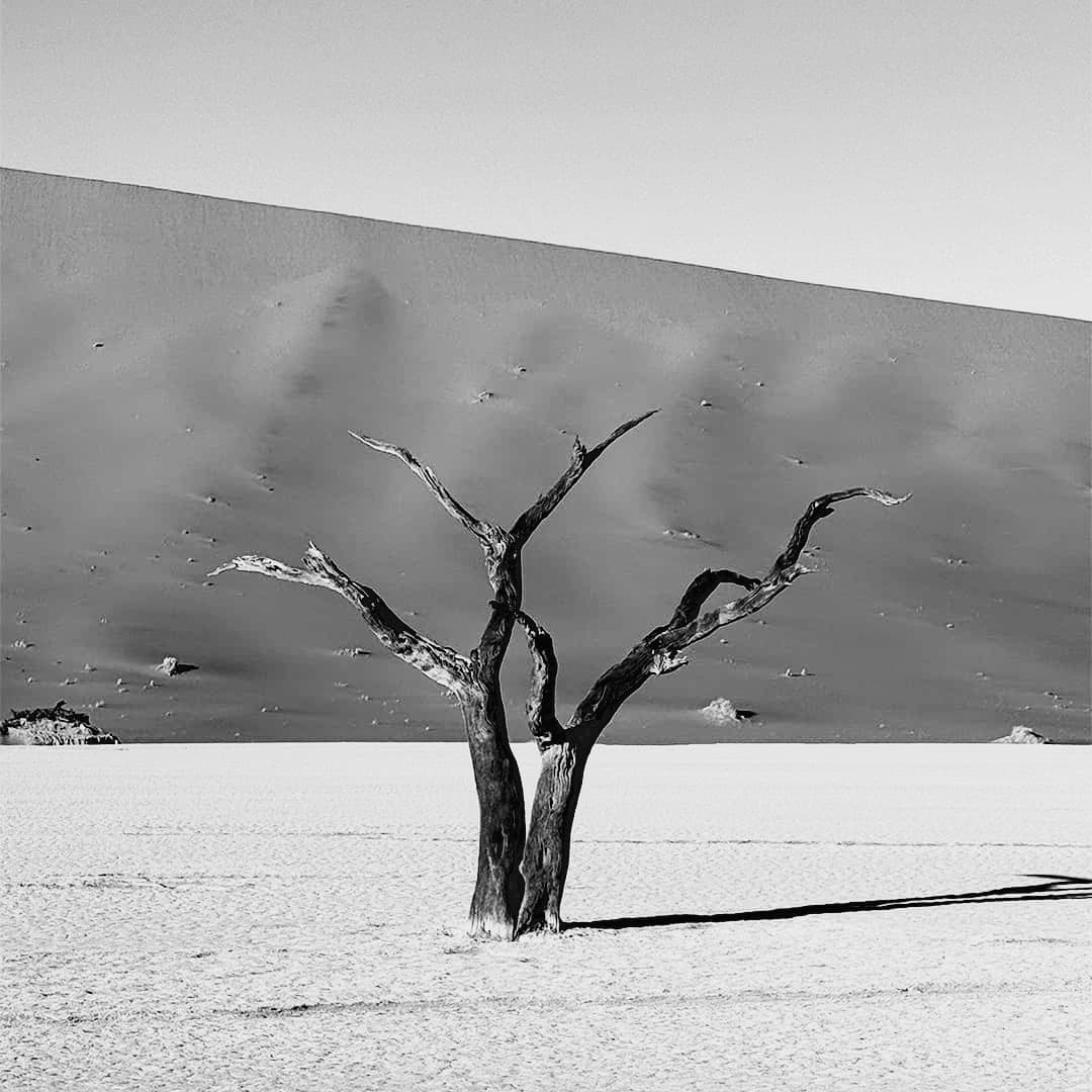 Image with Black & White Film effect applied