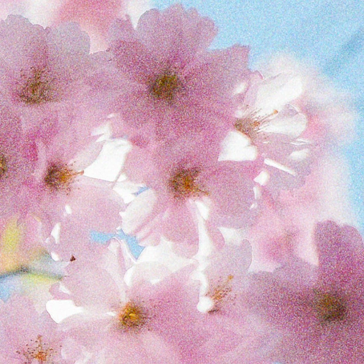 Image with Film Grain Overlay effect applied