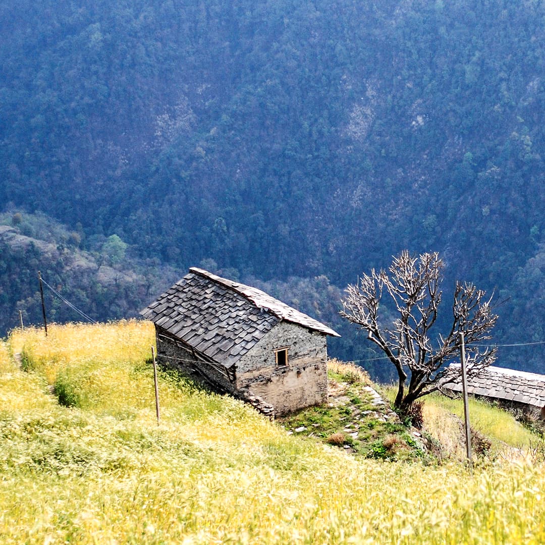 Original image before applying Infrared Film Filter effect