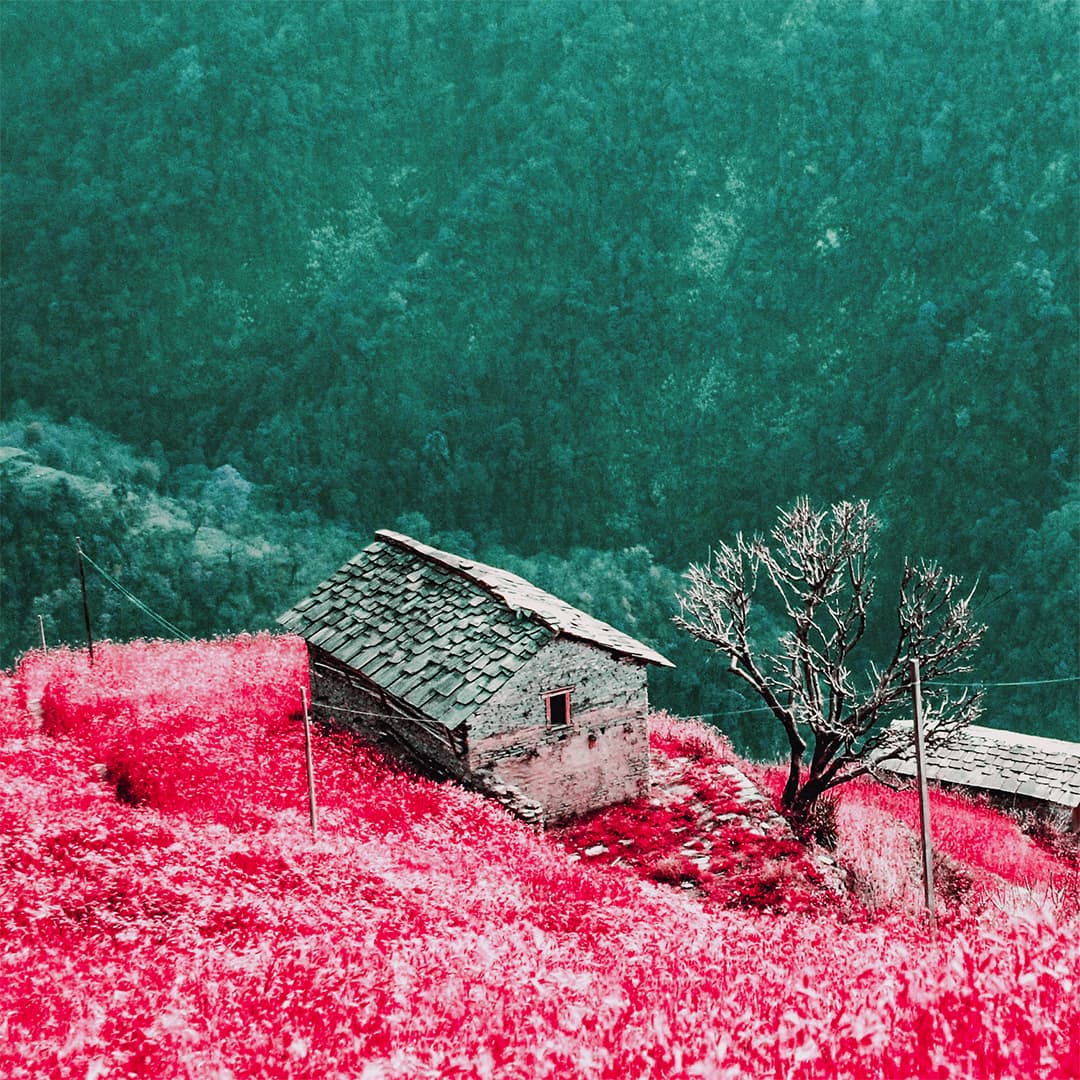 Image with Infrared Film Filter effect applied