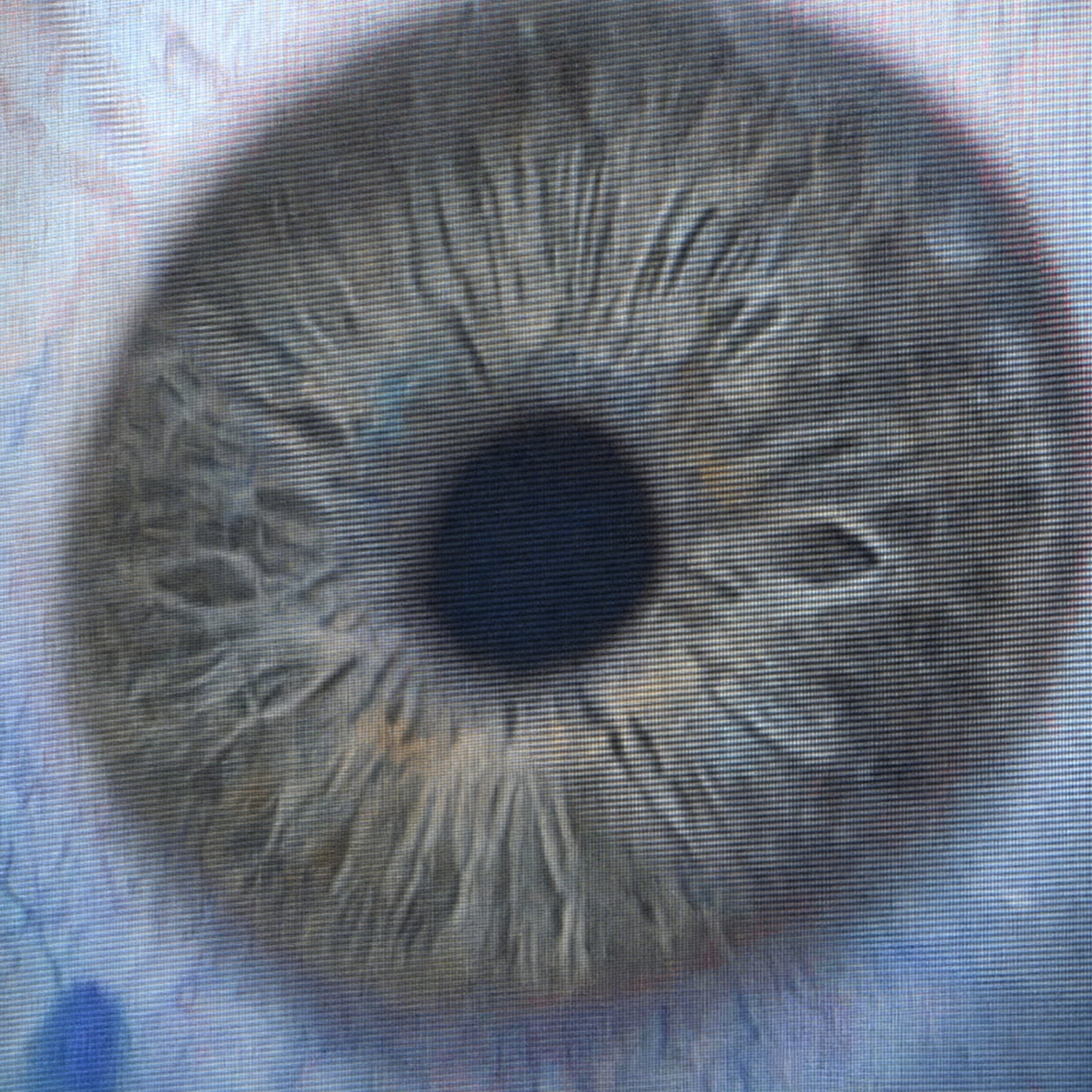 Original image before applying Blob Tracker effect