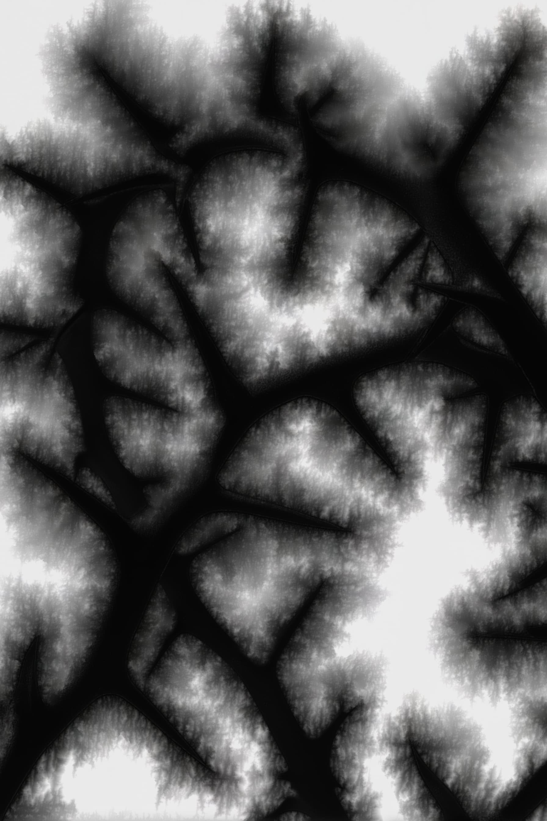 Image with Ink Bleed effect applied