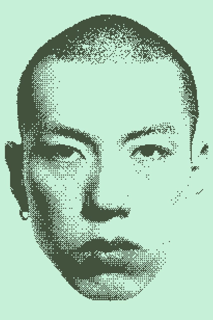 Image with Nokia 3310 effect applied
