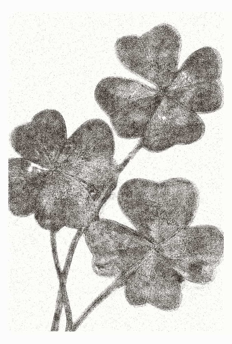 Image with Print Stamp effect applied