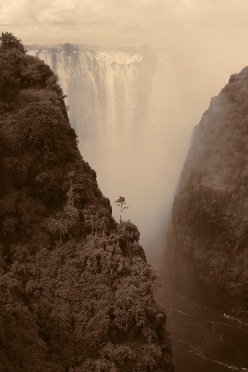 Image with Sepia effect applied